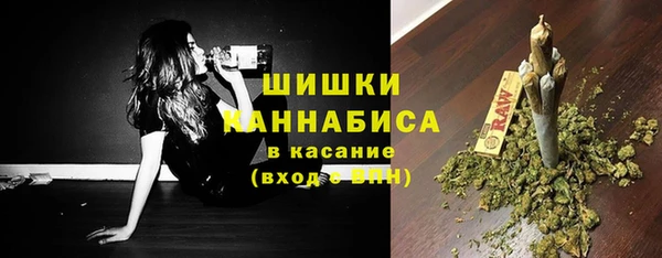 ПСИЛОЦИБИНОВЫЕ ГРИБЫ Новозыбков