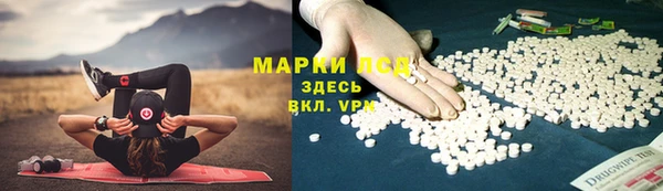 трава Беслан