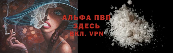 ПСИЛОЦИБИНОВЫЕ ГРИБЫ Новозыбков