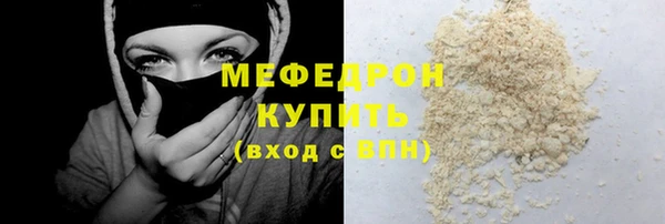 индика Бикин