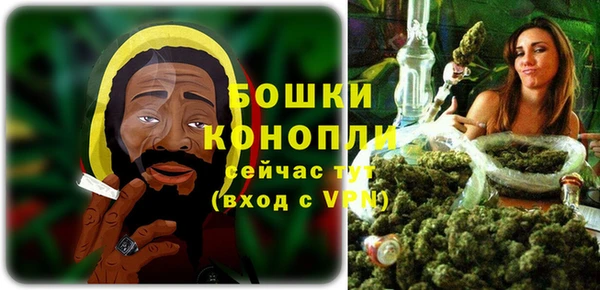 ПСИЛОЦИБИНОВЫЕ ГРИБЫ Новозыбков