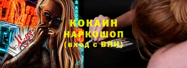 ПСИЛОЦИБИНОВЫЕ ГРИБЫ Новозыбков